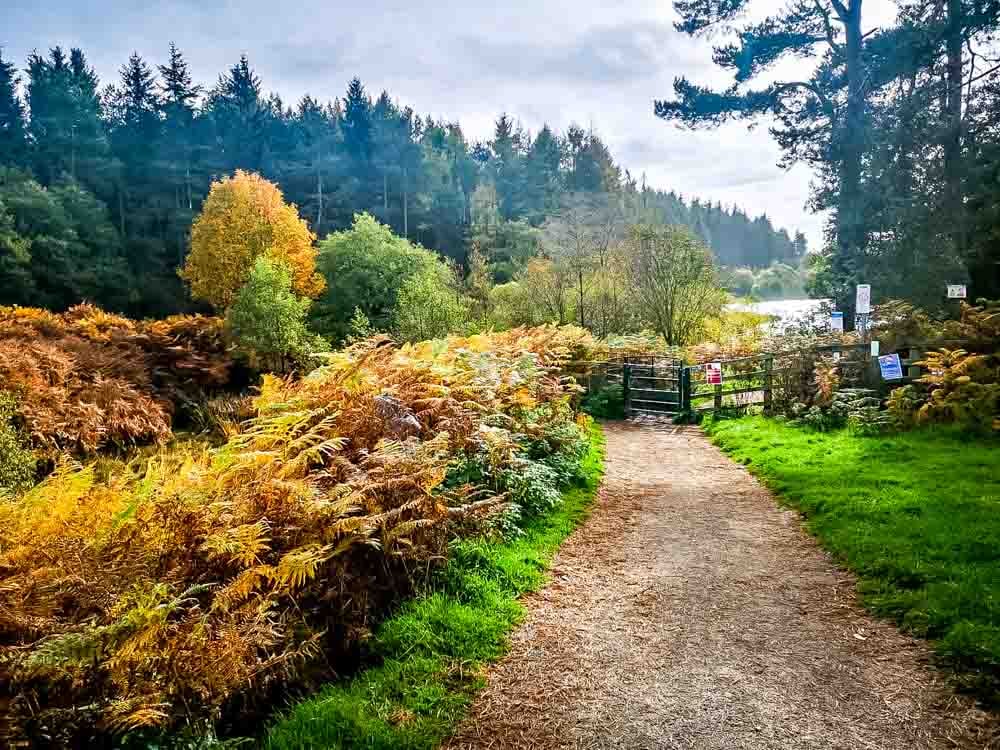 Autumn-at-Codbeck-Reservoir