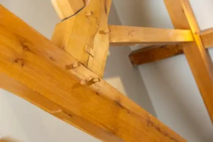 woodlands sugar hill 1